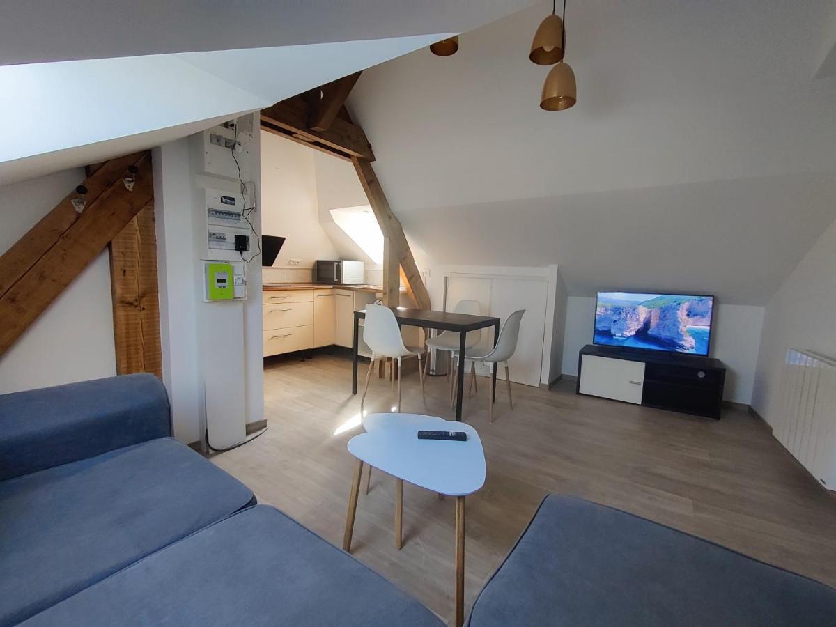 Appartement T3 "Yuca" Hyper Centre D'Ernée エクステリア 写真