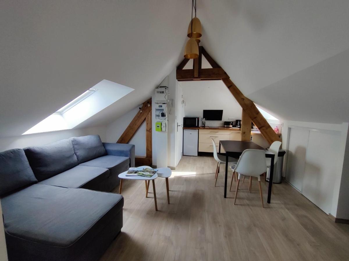 Appartement T3 "Yuca" Hyper Centre D'Ernée エクステリア 写真